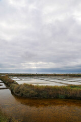 Marais salants