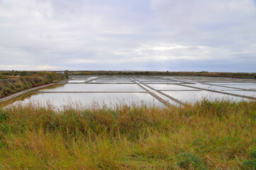 Marais salants