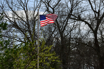 American flag flapping in front of bare trees