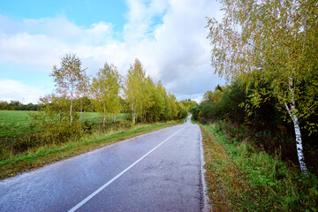 Fototapeta na wymiar Beautiful landscape with empty road.