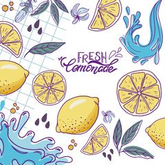 Fresh Lemonade Cooking ingredients, Lemons, Green Leaves of Mint and Water Splashes. Summer poster with Hand Lettering.
