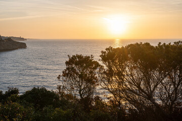 sunrise or sunset over the mediterranean sea, mallorca, spain - some trees in the foreground