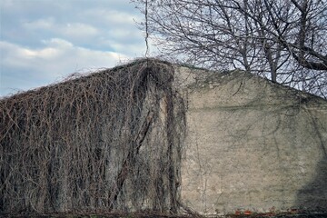 barn in the countryside