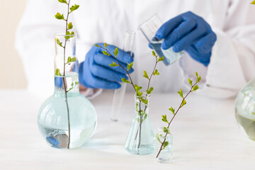 Concept of pure natural organic plant-based ingredients and water in cosmetology. Scientist doing research, test in laboratory. Wearing blue medical gloves. Anti-age and anti-acne therapy, skin care