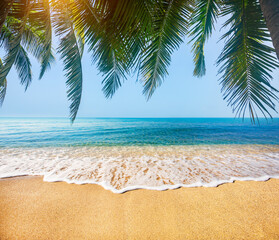 tropical beach with coconut palm - 504810948