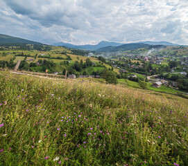 Fototapeta na wymiar Carpathian mountain countryside summer meadows with beautiful wild flowers