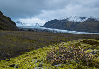 Iceland autumn tundra landscape near Haoldukvisl glacier, Iceland. Glacier tongue slides from the Vatnajokull icecap or Vatna Glacier near subglacial Esjufjoll volcano. Not far from Iceland Ring Road.