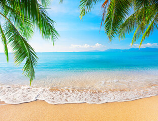 tropical beach with coconut palm - 504811547