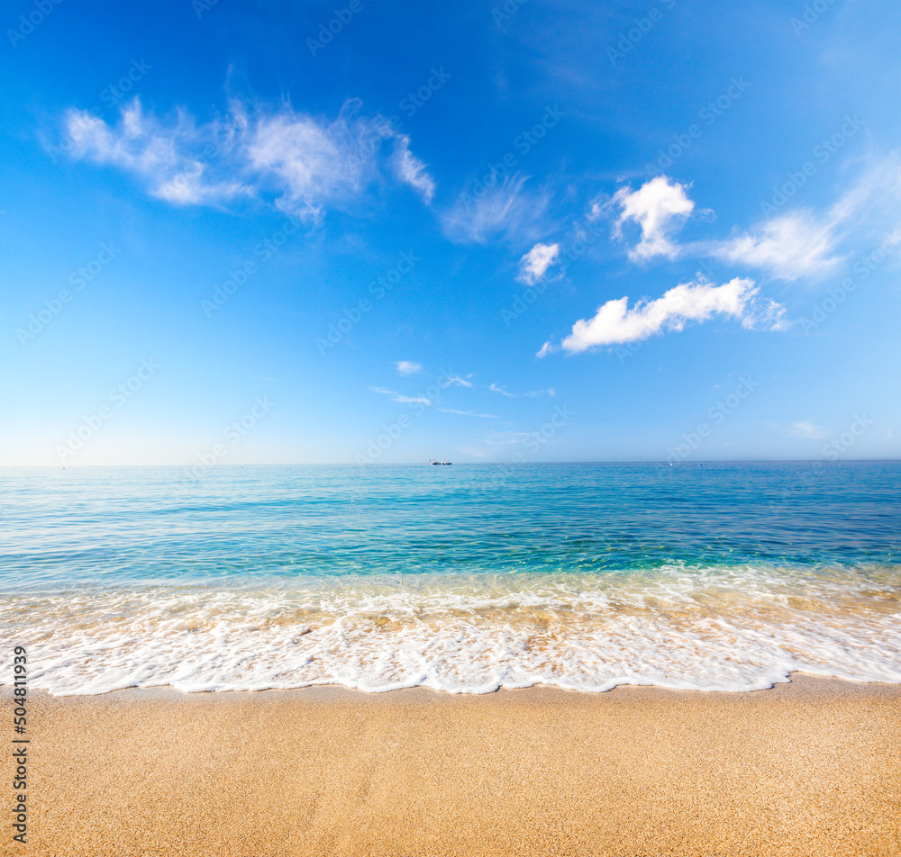 Wall mural sandy beach and beautiful tropical sea