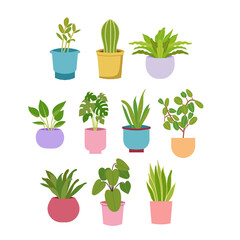 Fototapeta na wymiar Set of indoor plant illustration