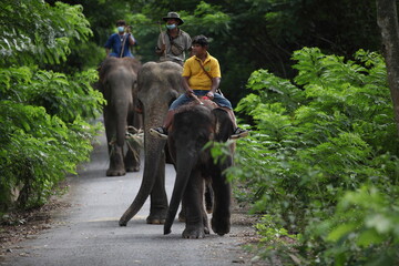 Zoo khou khew famous place for travel , Chonburi, Thailand- 16 May 2022 , On the day of the...