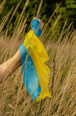 hand holds the flag of Ukraine in the field