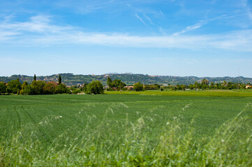 Umbria landscape near Torgiano (Perugia)
