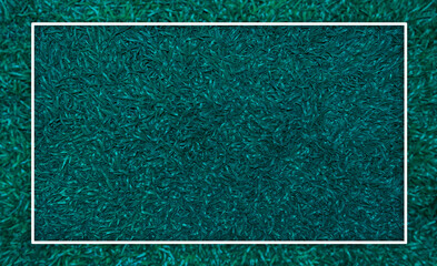Fototapeta premium background with grass