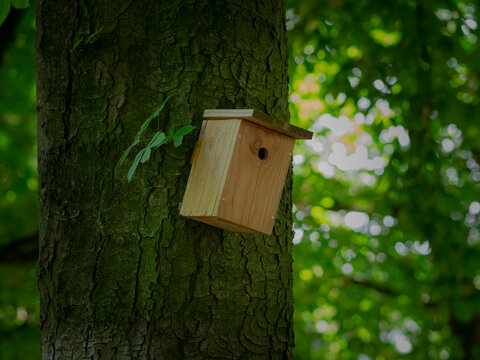 wooden bird house