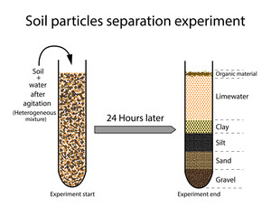 Soil Particles Separation Experiment. Soil Particles Category Deposit. Vector Illustration.