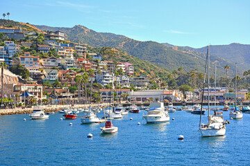 Boats anchored at Avalon Harbor with homes on the hillside in Santa Catalina Island off the coast...