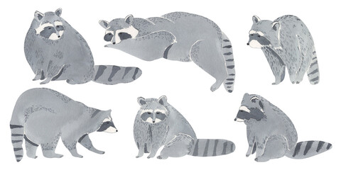 Hand drawn watercolor raccoons isolated on white background