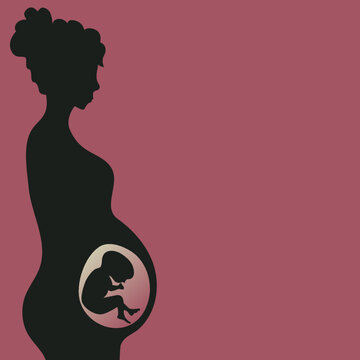 Silhouette Of Pregnant Woman With Developing Fetus