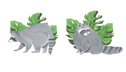 Watercolor Raccoon Composition. Animal, wildlife, tropical leaves