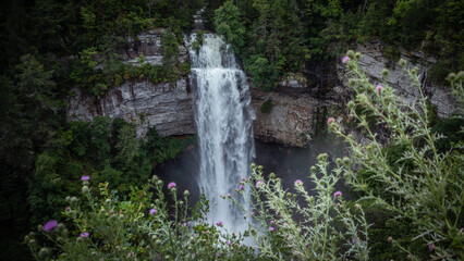 waterfall in the park