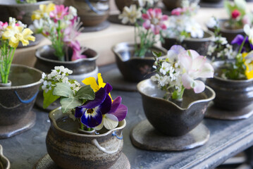 Colorful flowers displayed in ceramic cups