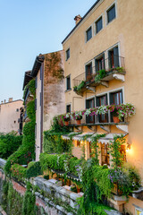 Balconies of old house decorated with plants, Verona, Italy