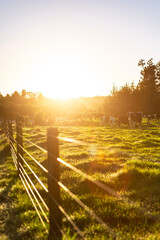Rural Farmland Sunrise