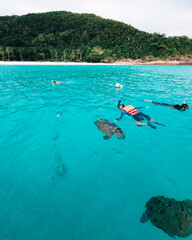 Group of tourists are snorkeling together with the turtles in Pulau Redang.