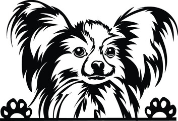 Pomeranian Chihuahua Peeking Dog Canine Pup Puppy Pet Mom Cute Paws Waiting Pooch Tongue Nose Face Head Funny Animal