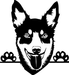 Australian Shepherd Kelpie Peeking Dog Canine Pup Puppy Pet Mom Cute Paws Waiting Pooch Tongue Nose Face Head Funny Animal