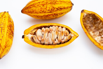 Cocoa fruit isolated on white background
