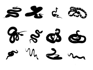 Snake logo, Vectors,Illustration. Black silhouette snake