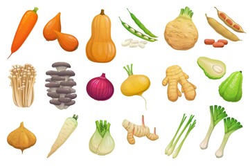 Cartoon vegetables, beans and mushrooms. Vector carrot, butternut pumpkin, shallots and celery tuber. Broad beans, enoki and oyster mushrooms, onion, ginger root and chayote or jicama with parsnips - obrazy, fototapety, plakaty