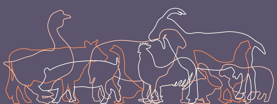 Farm animals silhouettes. Livestock and poultry icons. Thin line style