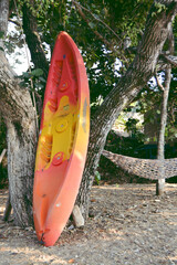 Red canoe draped on the big tree.