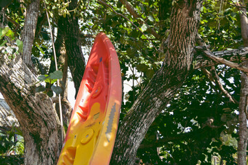 Close-up red canoe draped on the big tree.