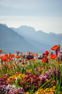Lac d'Annecy