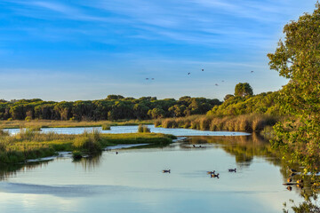 The beauty of Yanchep national park in Perth Western Australia