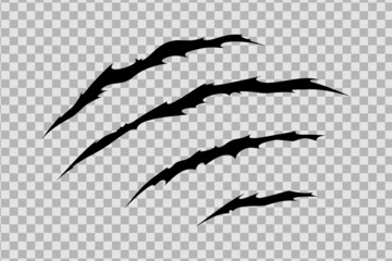 Claw scratches of wild animal. Cat scratches marks isolated in transparent background. Monochrome vector illustration