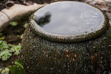 water drops on the ground