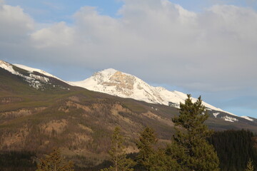 Snow Capped Mountain, Jasper National Park, Alberta