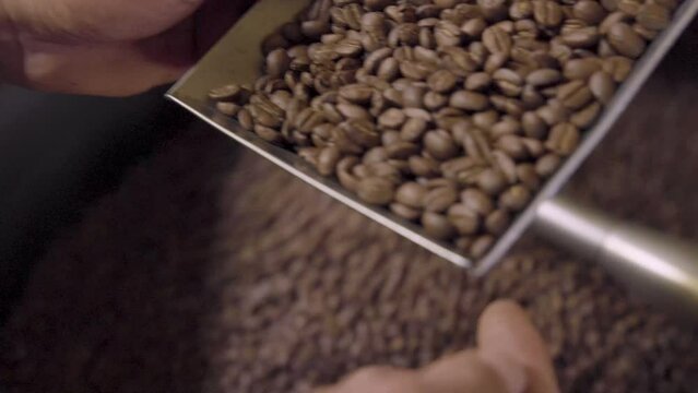 Testing types of coffee roasting in process taster