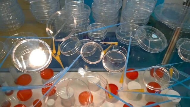 New sets of bacteriological loops, pipette tip, petri dishes are presented on a glass shelf. Close up. Shot in motion