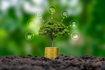 A tree growing on a pile of coins and a green background is a concept of financial system...