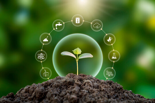 Tree growing on soil with plant growth factor icon eco concept earth day card protect the environment