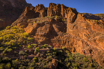 Fototapeta premium red rock canyon, Gran Canaria
