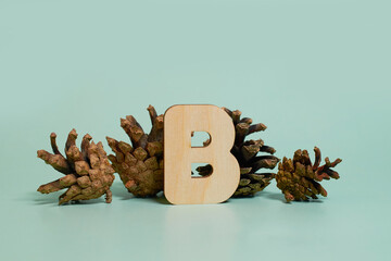 Letter B. A wooden letter of the English alphabet and four pine cones