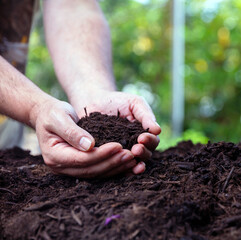Soil in male hand close up view. Garden agriculture work, nature protect concept - obrazy, fototapety, plakaty