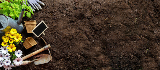 Garden tool and flower plant on soil background, copy space. Agriculture and gardening